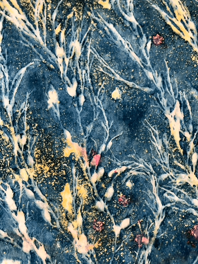 Applique Cystoseria
