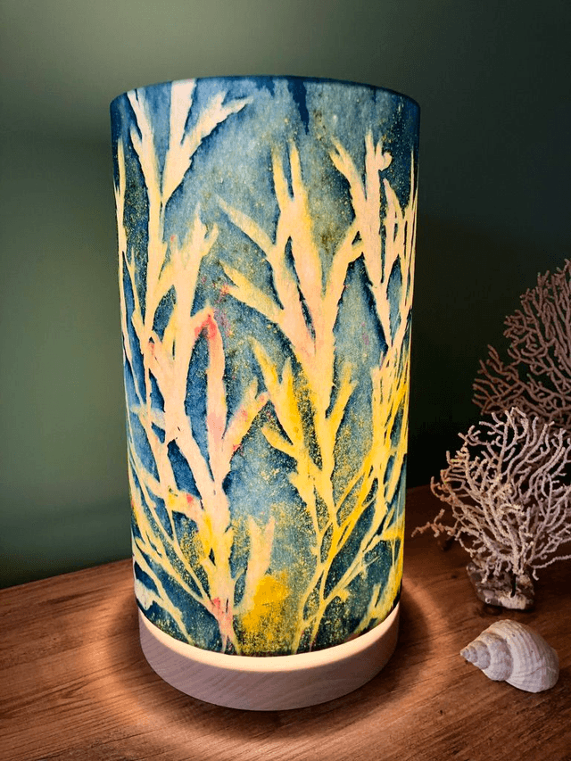 Lampes Fucus serratus
